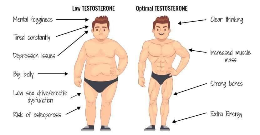 testosterone là gì