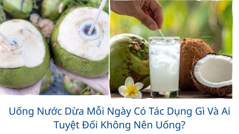 uống nước dừa mỗi ngày có tác dụng gì