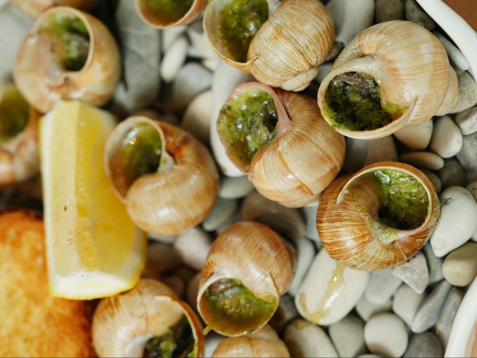 escargot nghĩa là gì