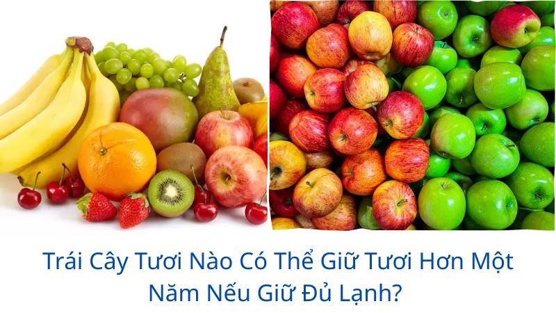 trái cây tươi nào có thể giữ tươi hơn một năm nếu giữ đủ lạnh?