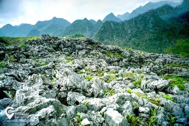 cháo ấu tẩu là đặc sản ở đâu