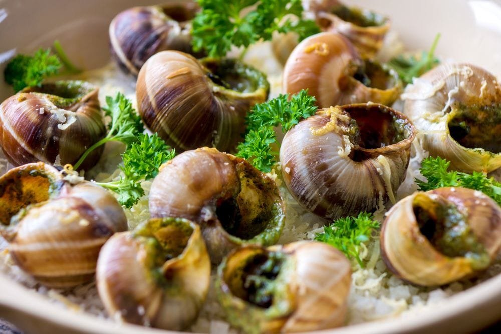escargot là món gì