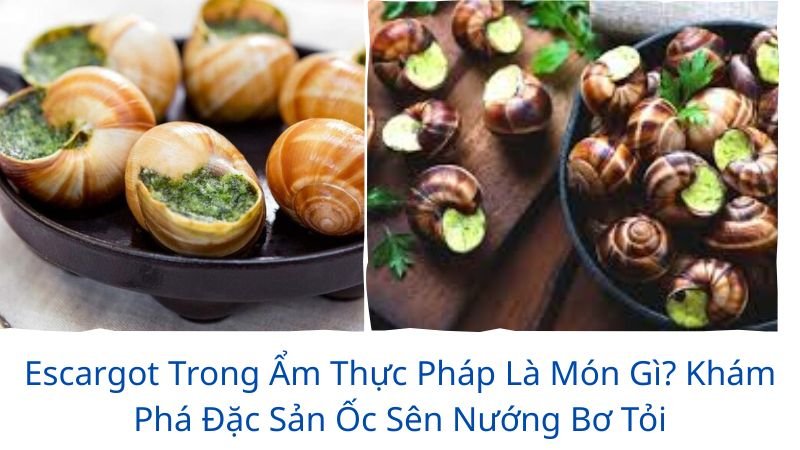 món “escargot” trong ẩm thực pháp là món gì?