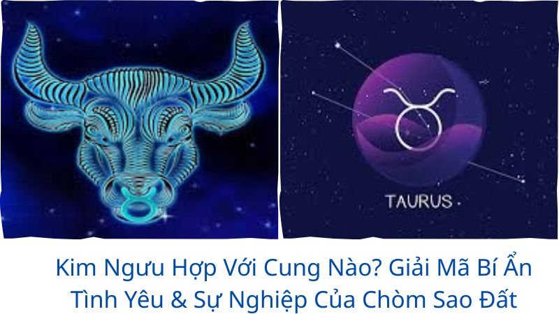 kim-nguu-hop-voi-cung-nao