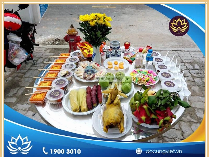 mam-cung-chung-sinh-gom-nhung-gi