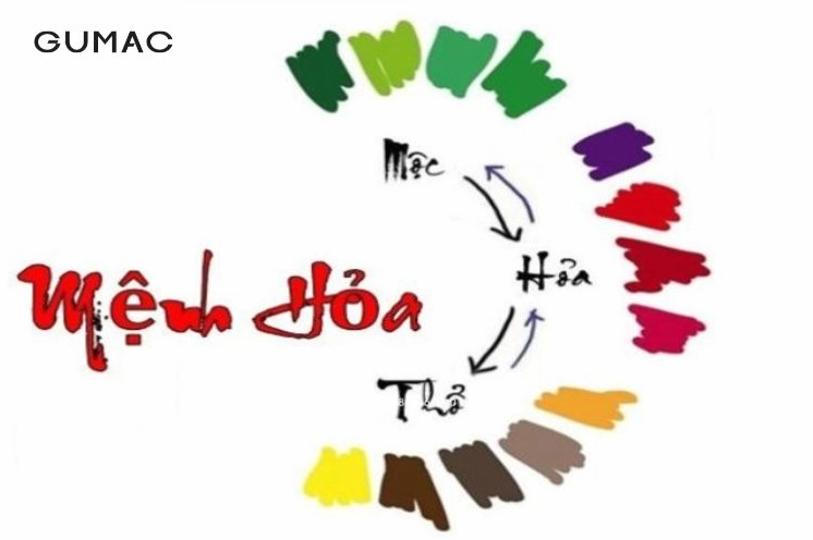 mau phong thuy hop cho người tuoi Mau Ty