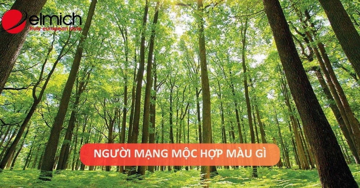 menh-moc-hop-mau-gi-kham-pha-mau-sac-phong-thuy-don-tai-loc-_906