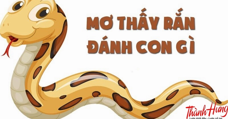 Mơ rắn đánh con gì?