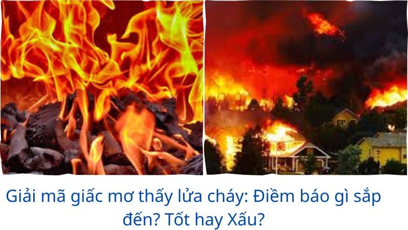 mo-thay-lua-chay