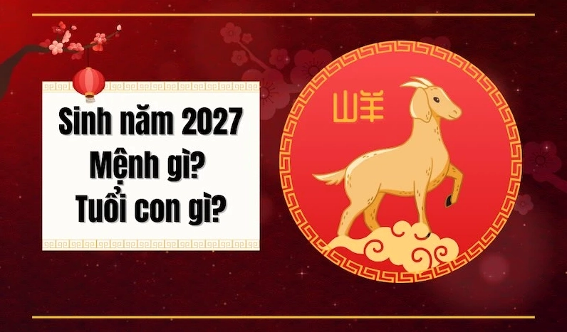 nam-2027-con-gi-menh-gi-bat-mi-tinh-cach-van-menh-dinh-mui_372