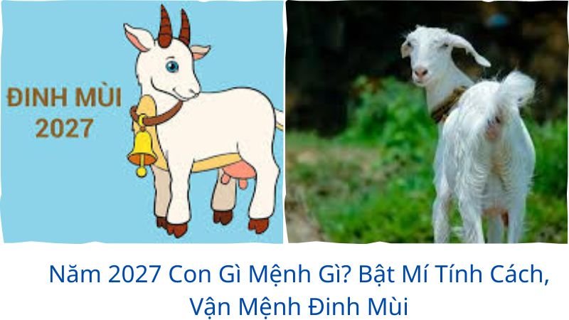 nam-2027-con-gi-menh-gi