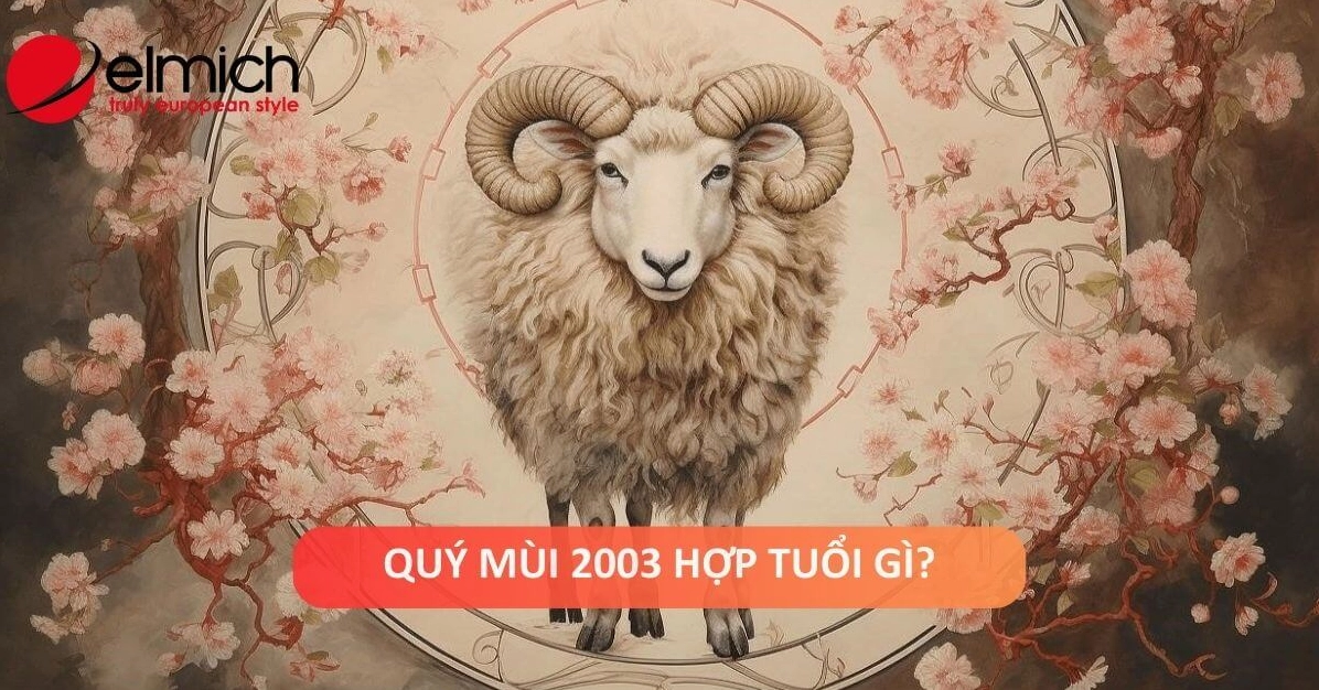 nam-mang-tuoi-quy-mui-2003-lay-vo-tuoi-nao-hop-nhat-nam-2026_487