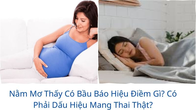 nam-mo-thay-co-bau