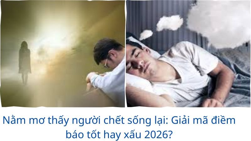 nam-mo-thay-nguoi-chet-song-lai