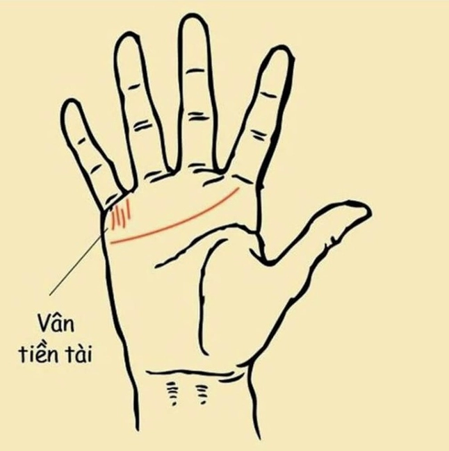 Ngón tay có vết vân tiền phản ánh sự giàu có