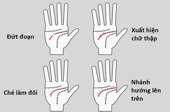 Người có đường trí đạo mờ ngắn là người không ham danh lợi