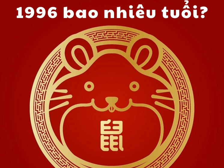 nguoi-sinh-nam-1996-tuoi-con-gi-bao-nhieu-tuoi-trong-nam-202_156