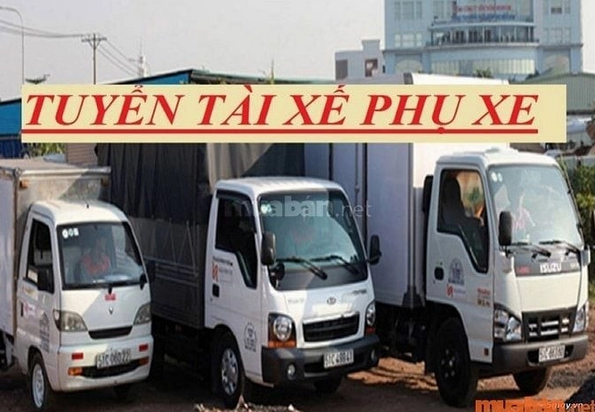 Nhu cầu thị trường tuyển phụ xe gấp đi làm ngay đang rất cao
