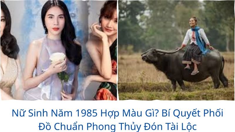 nu-sinh-nam-1985-hop-mau-gi