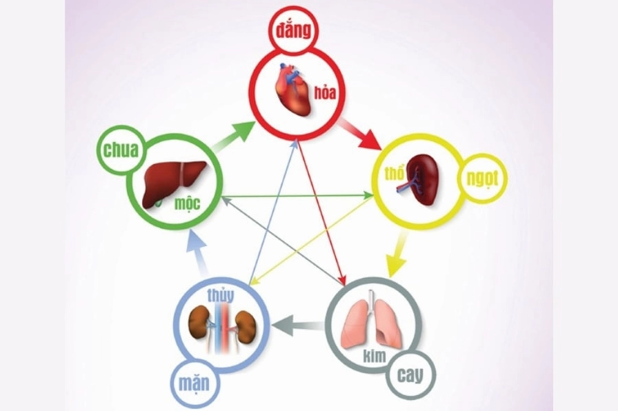 Phản sinh phản khắc trong ngũ hành