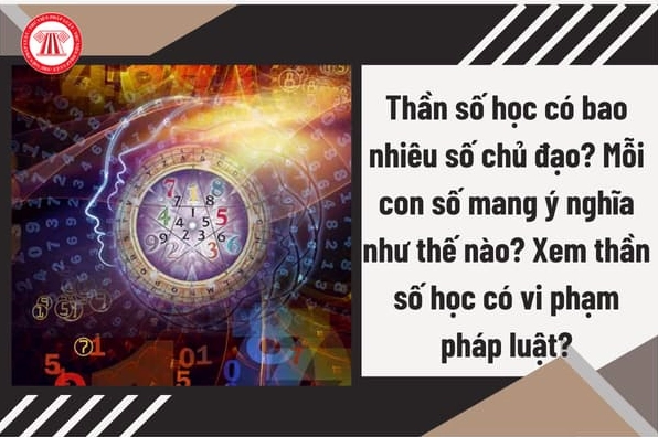 Pháp luật