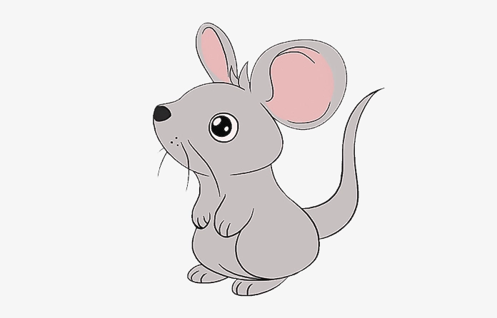 Phong thủy màu sắc tuổi Tý