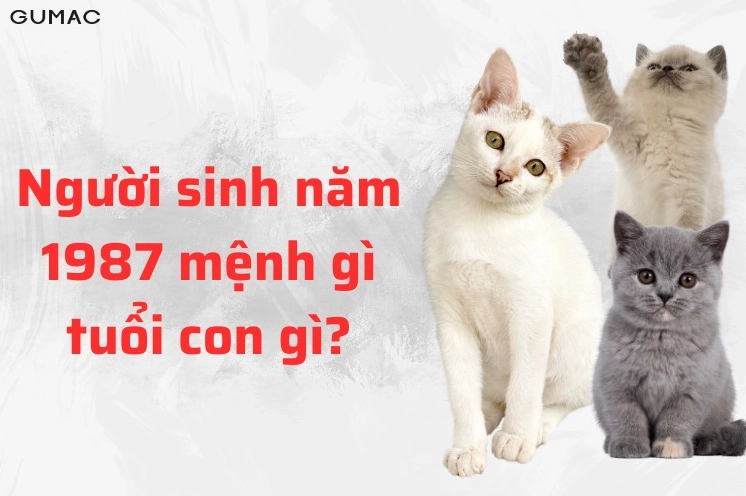 sinh nam 1987 tuoi con gi