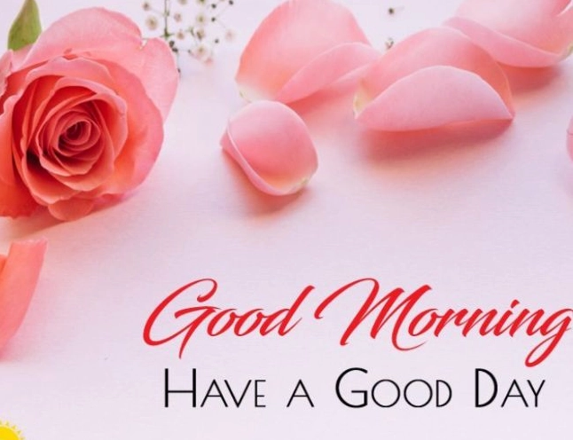 Status chào ngày mới bằng tiếng Anh