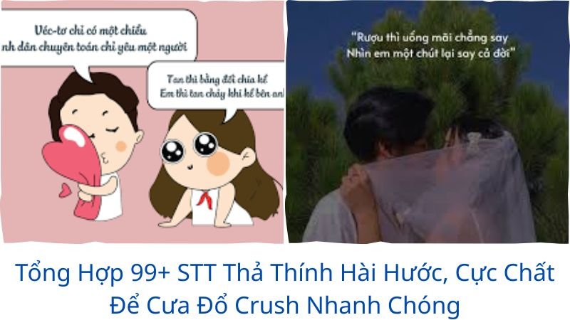 stt-tha-thinh-hai-huoc