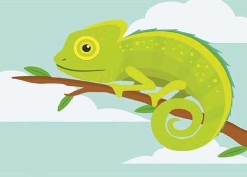 tac-ke-keu-7-tieng-ban-dem-diem-bao-phong-thuy-tot-hay-xau_679