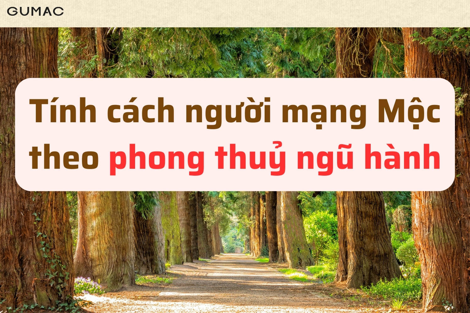 tinh cach nguoi mang moc