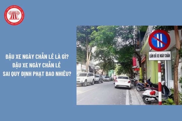 Tình huống đè vạch ô tô thường gặp