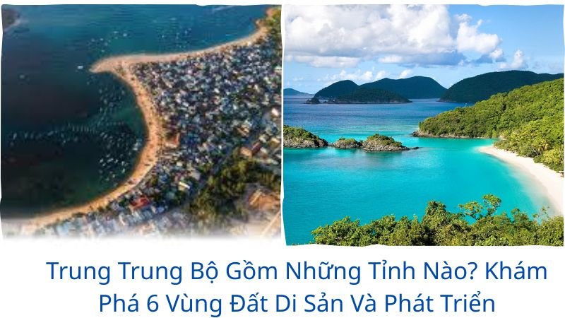 trung-trung-bo-gom-nhung-tinh-nao