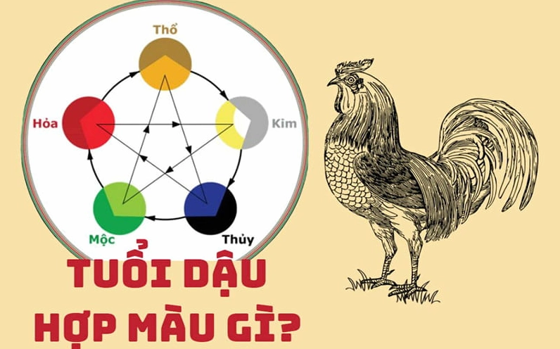 Tuổi Dậu hợp màu gì – kỵ màu gì?