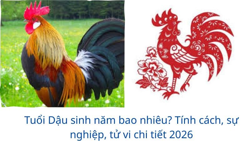 tuoi-dau-sinh-nam-bao-nhieu