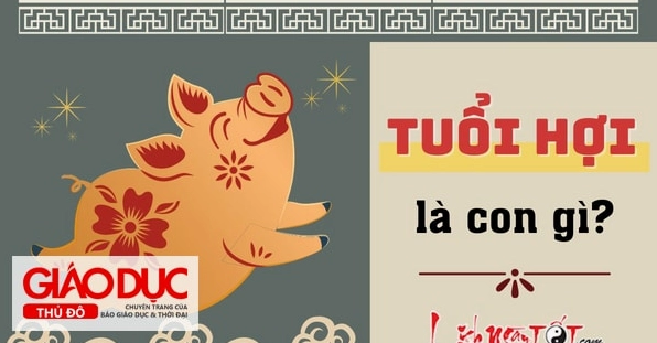 tuoi-hoi-sinh-nam-bao-nhieu-kham-pha-nam-sinh-tinh-cach-va-v_440