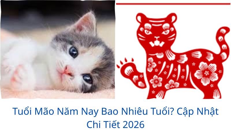 tuoi-mao-nam-nay-bao-nhieu-tuoi