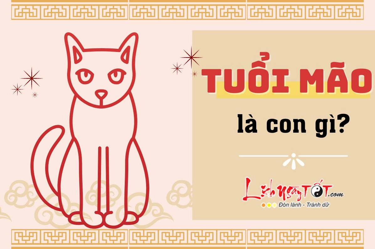 tuoi-mao-sinh-nam-bao-nhieu-dac-diem-tu-vi-va-van-menh-tron-_197