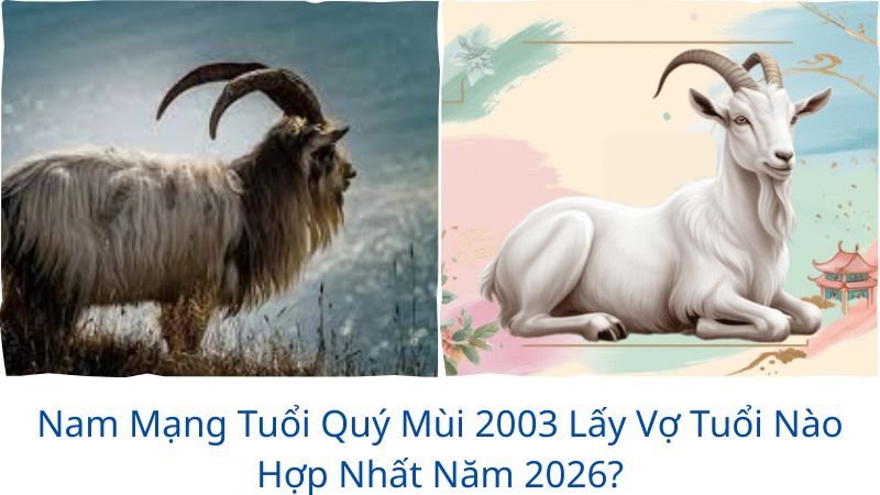 tuoi-quy-mui-2003-lay-vo-tuoi-nao-hop