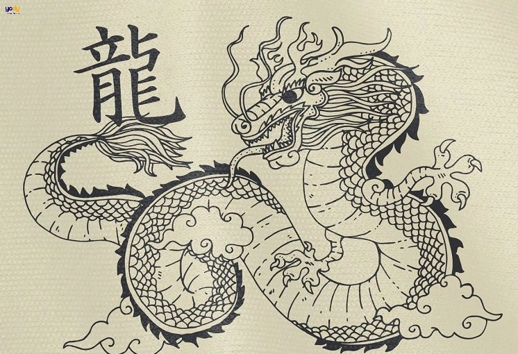 Tuổi Thìn lớn năm nay bao nhiêu tuổi