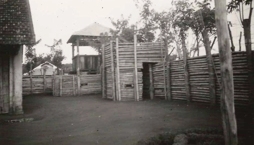 tuoi-thin-sinh-nam-bao-nhieu-kham-pha-van-menh-phong-thuy-ch_739