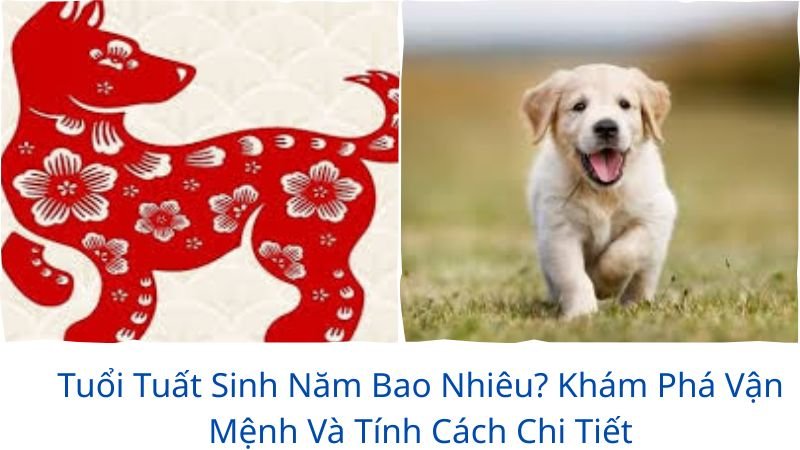 tuoi-tuat-sinh-nam-bao-nhieu
