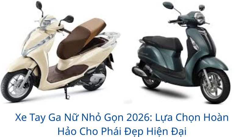 xe-tay-ga-nu-nho-gon