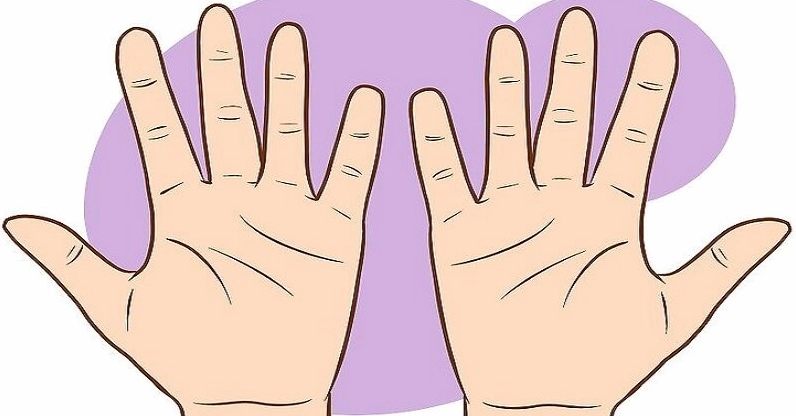 xem-duong-chi-tay-nu-bi-quyet-doan-tinh-cach-su-nghiep-va-ti_948