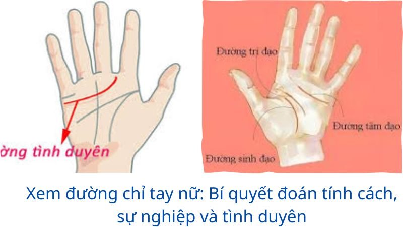xem-duong-chi-tay-nu