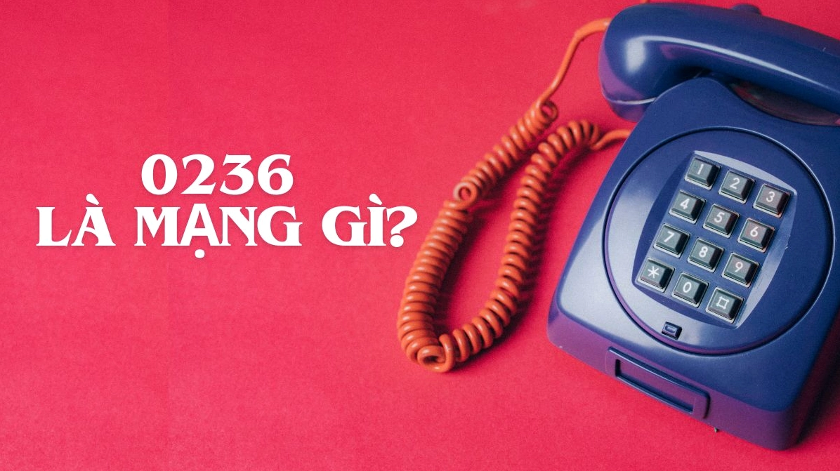 0236-la-mang-gi-giai-ma-y-nghia-au-so-gay-to-mo_852