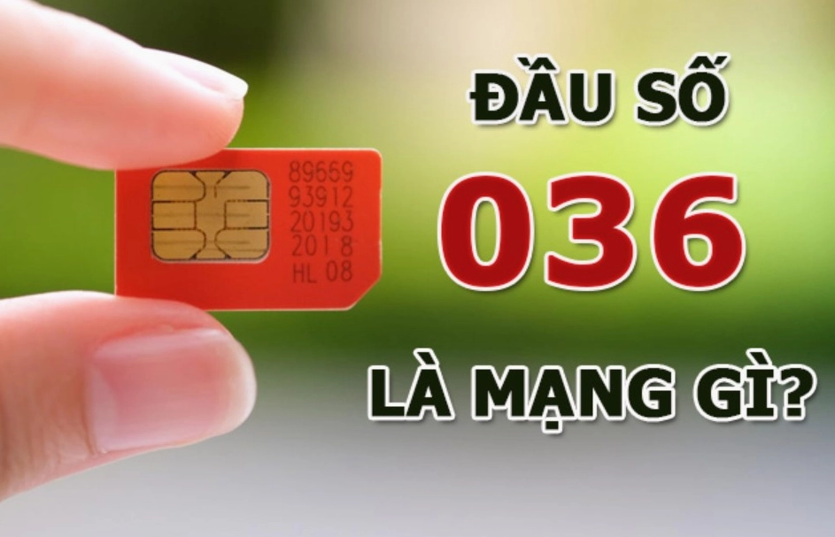 036-la-mang-gi-giai-ma-y-nghia-va-cach-nhan-biet-chinh-xac-n_240