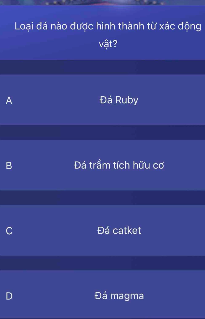 a-tuff-la-gi-loai-a-nao-uoc-hinh-thanh-tu-xac-ong-vat_220