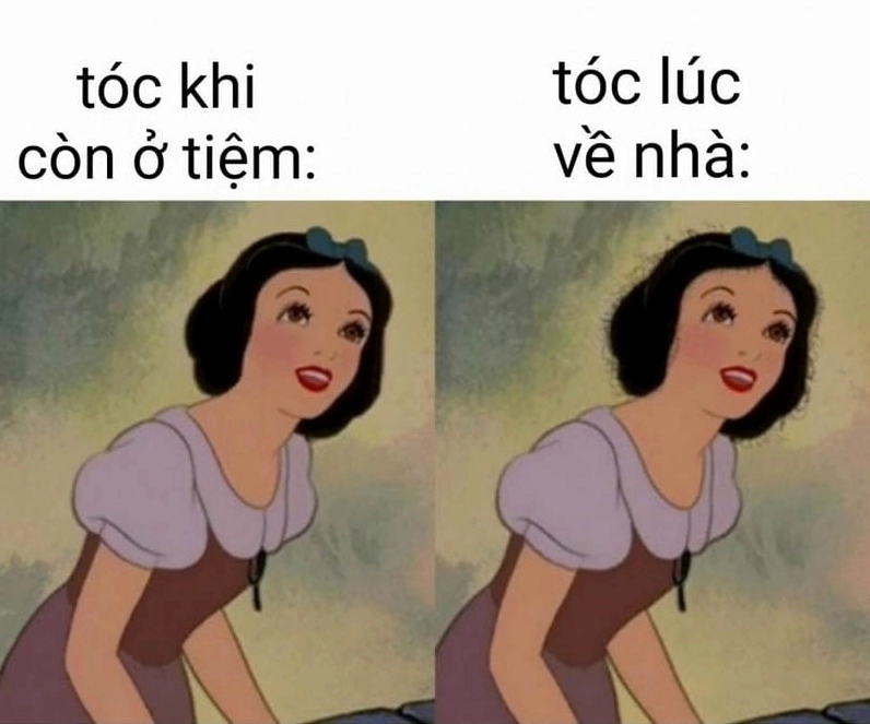 anh-che-meme-kham-pha-the-gioi-bieu-cam-hai-huoc-online-2026_748