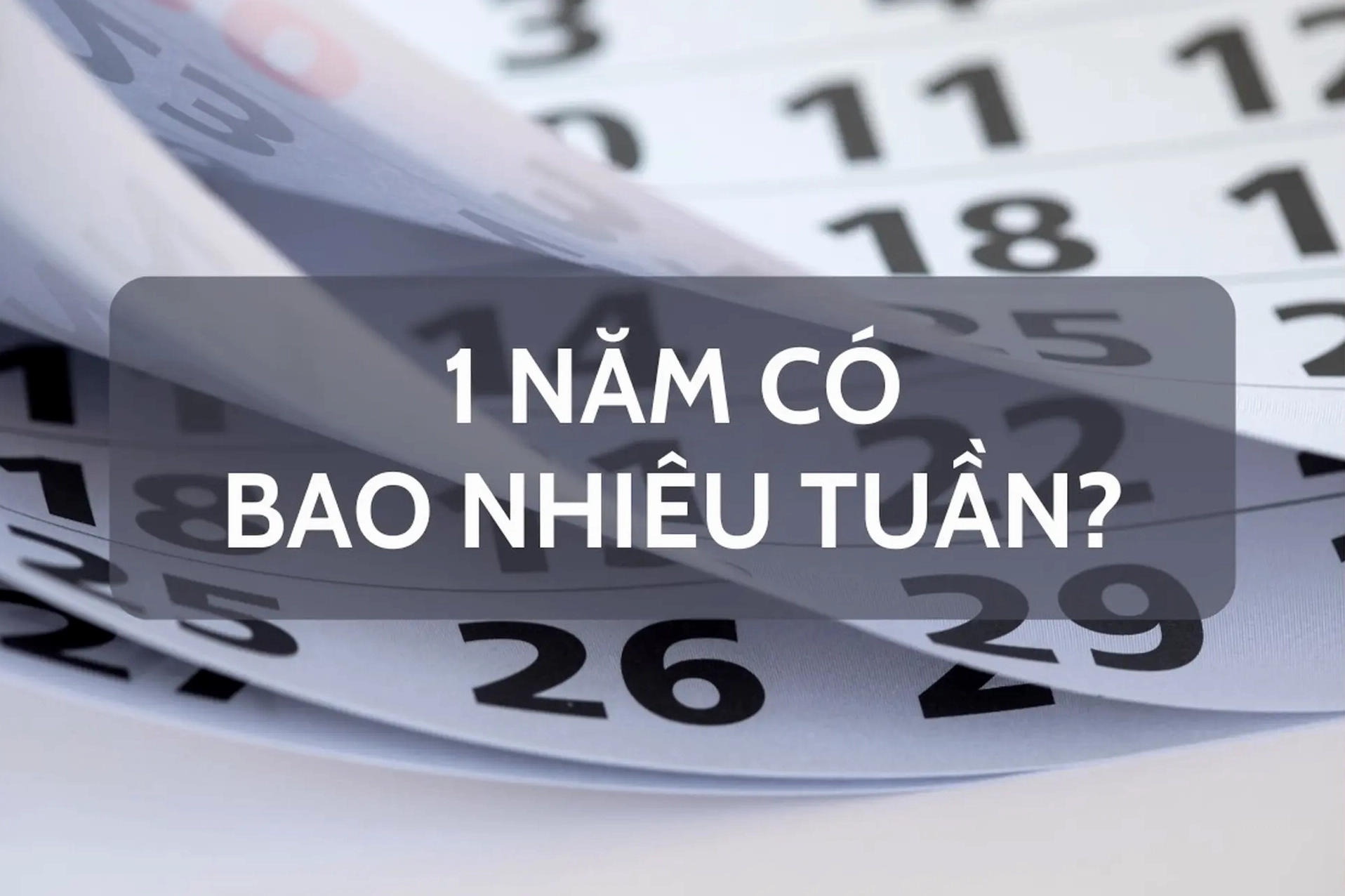 Ảnh minh họa lịch và sự kiện theo tuần